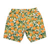 Men's Hudson Boardshort Le'Orangerie - Swim Trunks - 2
