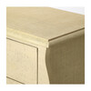 Felicia Accent Chest, Natural Raffia - Dressers - 4