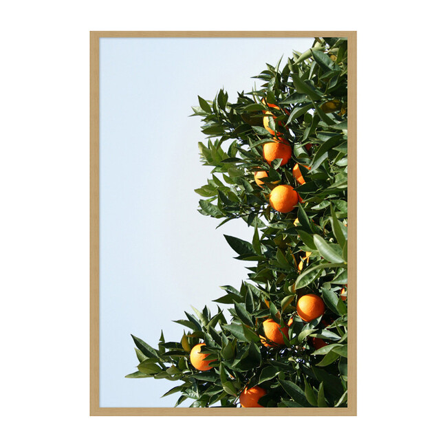 East Ojai Orange Tree by Nathan Turner