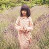 Emma Long Sleeve Collared Dress, Pink Graphic Flower - Dresses - 4