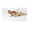 Solid Zip Footie, Soybean - Onesies - 2