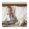 Organic Cotton Classic Knit Bear - Plush - 2
