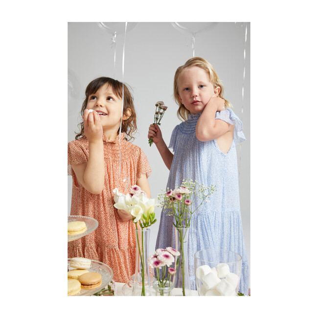 Anna Chiffon Maxi Dress, Caramel Ditsy Dot