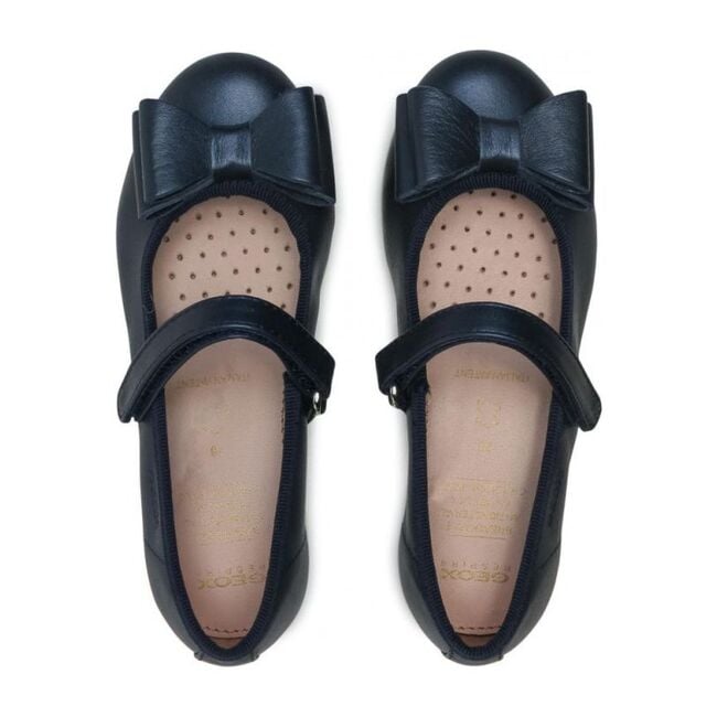 Ballet Flats, Navy