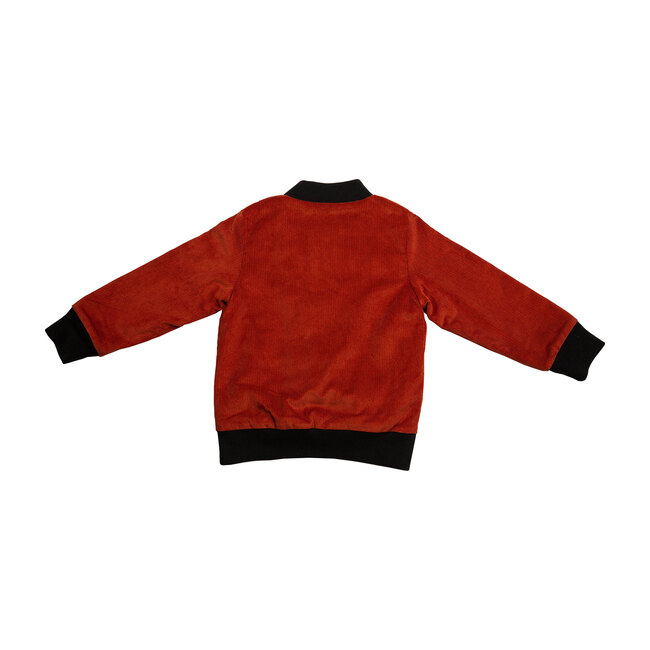 Aviator Corduroy, Rust