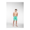 Deson Boys Short, Green - Swim Trunks - 2