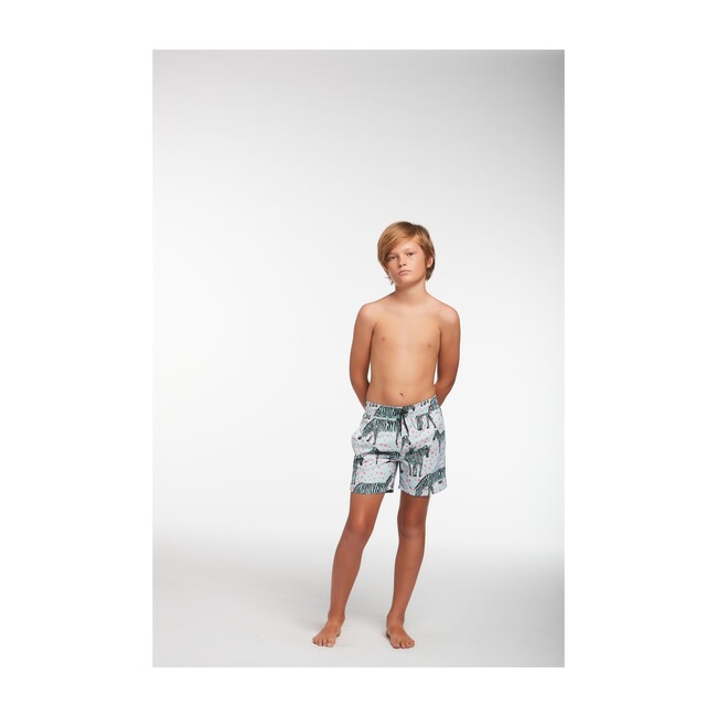 Zebra Boys Swim Trunks