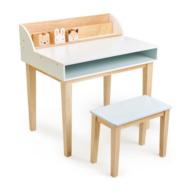 Desk and Chair