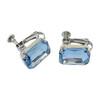 Rhinestone Birthstone Earrings - Earrings - 11
