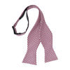 Bowentie, Rutledge Red Gingham - Bowties & Ties - 4