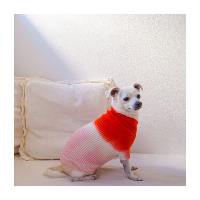 The Major Sweater, Sugar