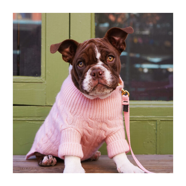 The Rufus Sweater, Sugar