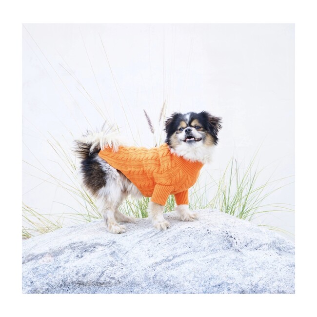 The Rufus Sweater, Tangerine