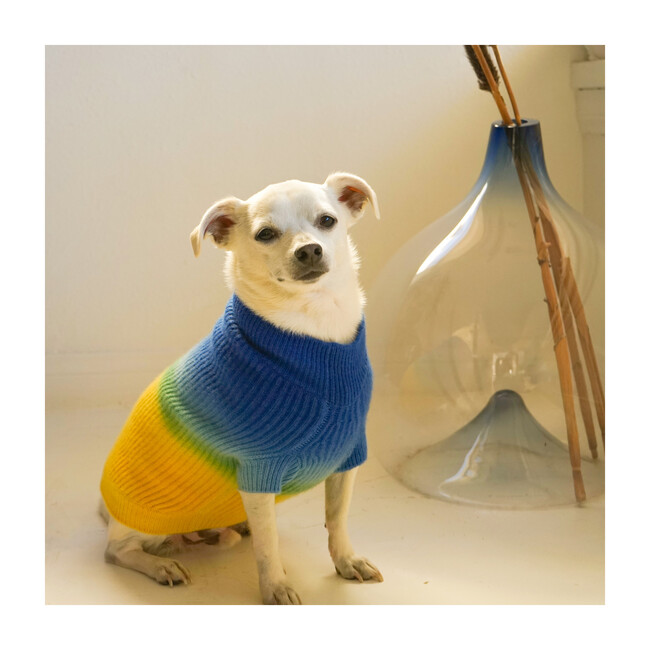 The Major Sweater, Pineapple