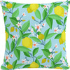 Indoor/Outdoor Decorative Pillow, Summer Citrus Blue - Decorative Pillows - 1 - thumbnail