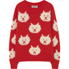 Arty Bull Kids Sweater Red - Sweaters - 1 - thumbnail