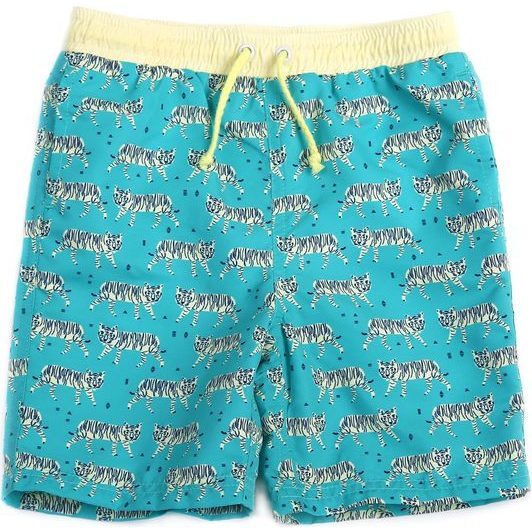 Drake Swim Short, Aqua - Swim Trunks - 1