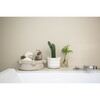 Mini Tricolor Basket, Ivory - Storage - 8