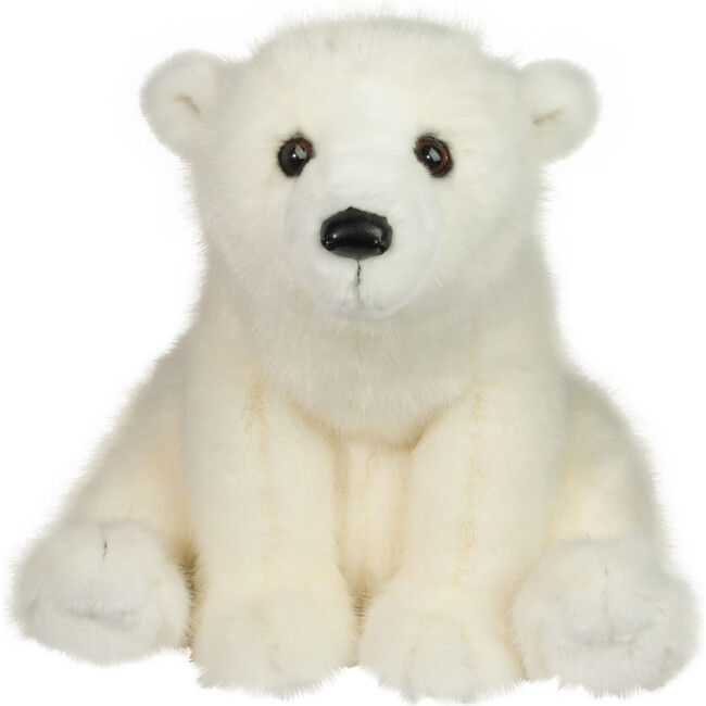Ursus Polar Bear