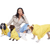 Talon Raincoat, Yellow - Dog Clothes - 2