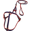 Sporty Harness Leash - Collars, Leashes & Harnesses - 1 - thumbnail