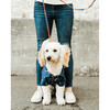 Sporty Harness Leash - Collars, Leashes & Harnesses - 2