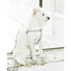 Leopard Harness Leash - Collars, Leashes & Harnesses - 2