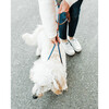 Sporty Harness Leash - Collars, Leashes & Harnesses - 4