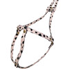 Leopard Harness Leash - Collars, Leashes & Harnesses - 3