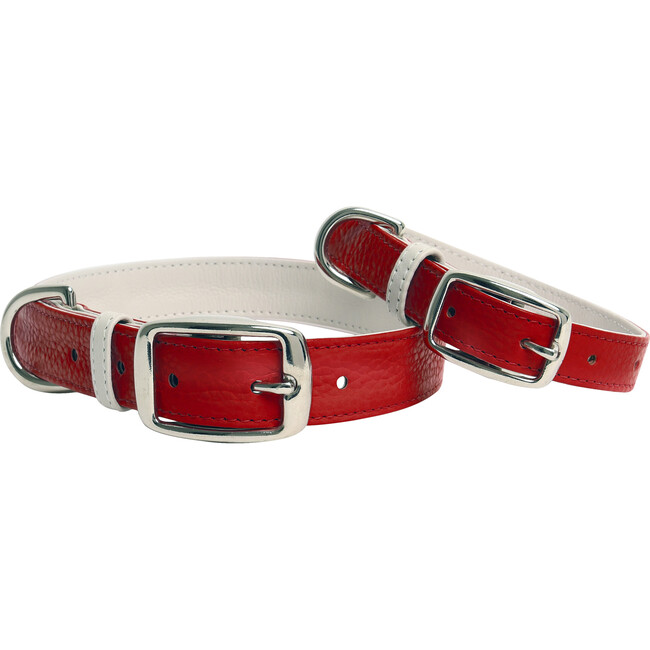 The Finley Collar in Lipstick Red - Collars, Leashes & Harnesses - 1