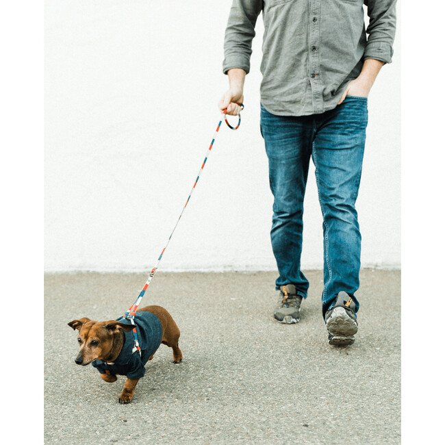 Retro Harness Leash - Collars, Leashes & Harnesses - 5