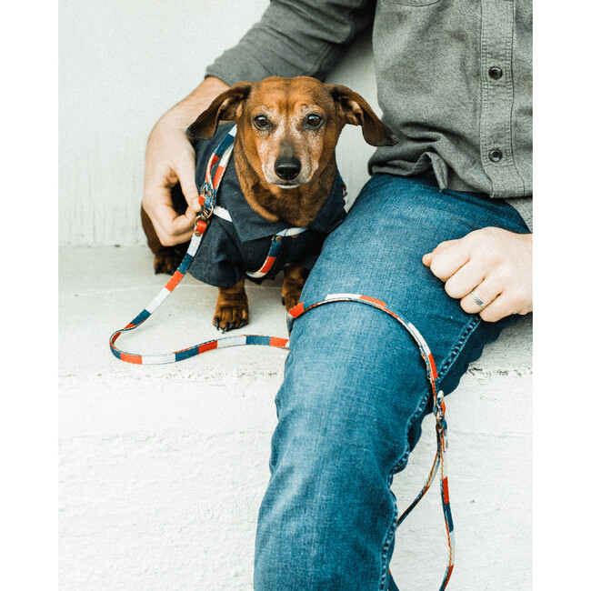 Retro Harness Leash - Collars, Leashes & Harnesses - 6