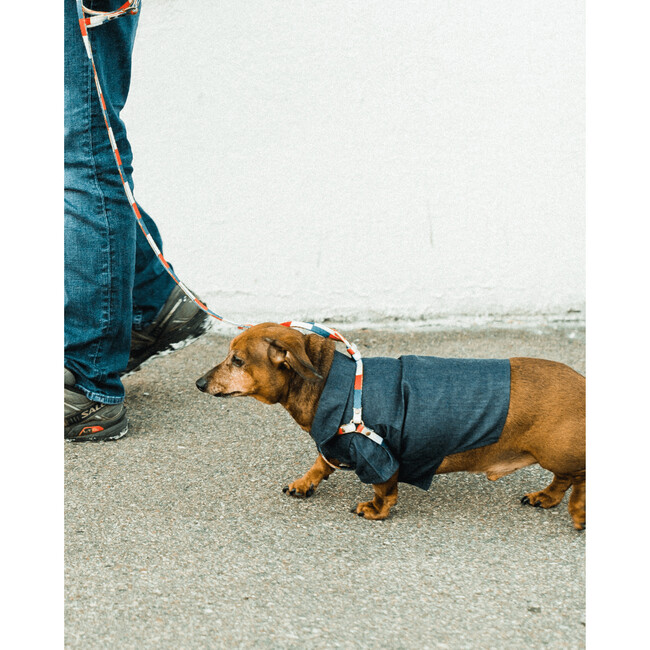 Retro Harness Leash - Collars, Leashes & Harnesses - 7