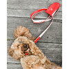 The Finley Collar in Lipstick Red - Collars, Leashes & Harnesses - 5