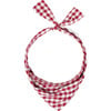 Neckwear, Berry Gingham - Dog Bandanas & Neckties - 1 - thumbnail