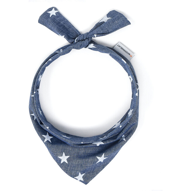 Neckwear, Stargazing - Dog Bandanas & Neckties - 1