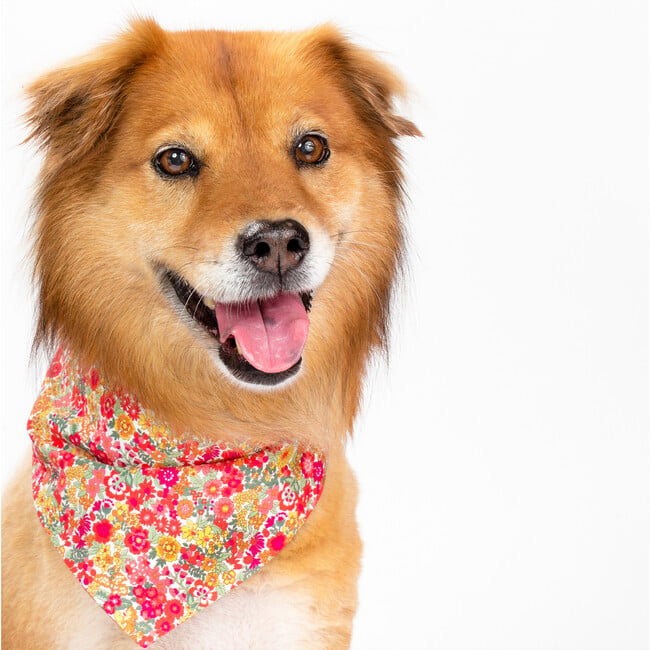 Neckwear, Red Floral - Dog Bandanas & Neckties - 2