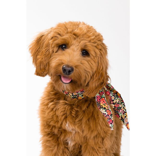 Necktie, Black Floral - Dog Bandanas & Neckties - 2