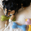 Woolbone, Rose - Pet Toys - 2
