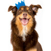 Party Beast Crown, Blue - Pet Costumes - 2