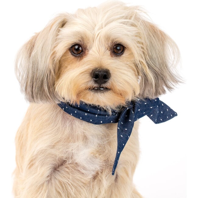 Necktie, Denim Polkadot - Dog Bandanas & Neckties - 2