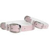 The Finley Collar in Peony Pink - Collars, Leashes & Harnesses - 1 - thumbnail