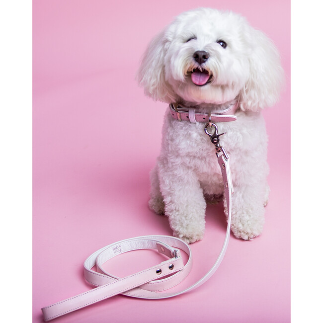 The Finley Collar in Peony Pink