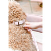 The Finley Collar in Peony Pink - Collars, Leashes & Harnesses - 3