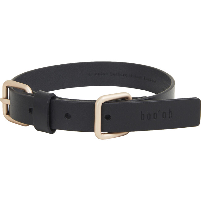 Lumi Collar, Black and Gold - Collars, Leashes & Harnesses - 1