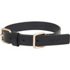 Lumi Collar, Black and Gold - Collars, Leashes & Harnesses - 1 - thumbnail