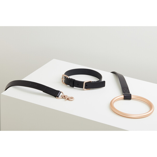 Lumi Collar, Black and Gold - Collars, Leashes & Harnesses - 3
