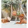 Beach Sounds, Olive - Musical - 4