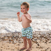 Turtle Swimshorts, Blue - Swim Trunks - 2