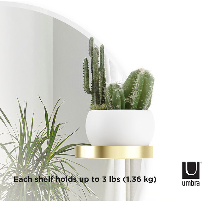 Perch Shelved Mirror, Brass - Mirrors - 5